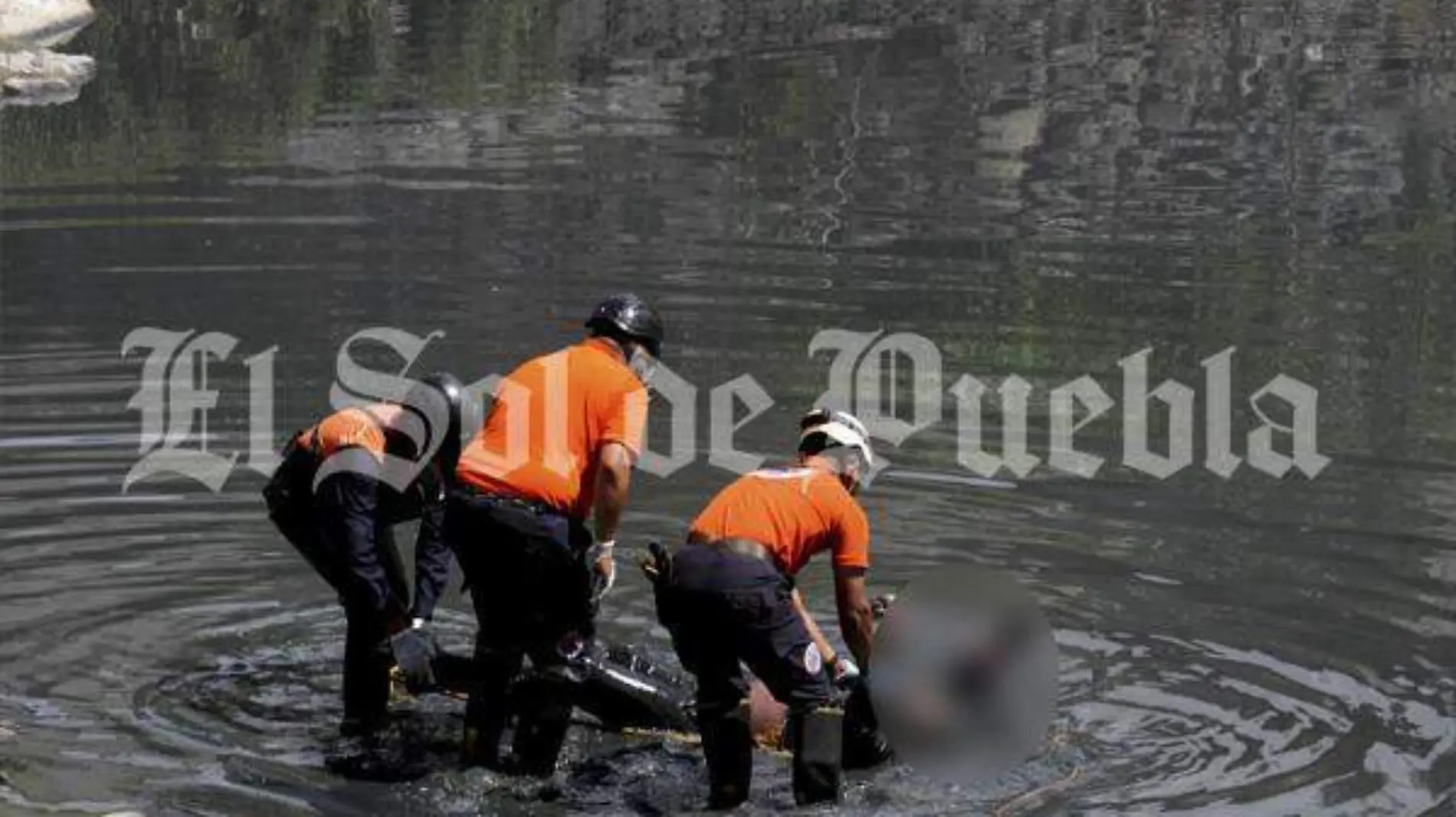 putrefacto en el rio